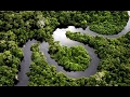 Wild discovery channel animals Journey into Amazonia National geographic documentary #2