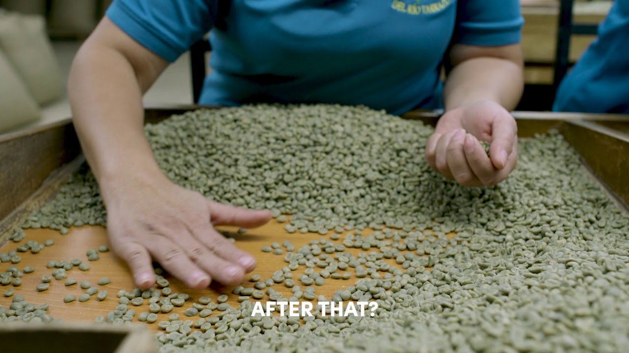 Company video ST. LOUIS BREAD CO.