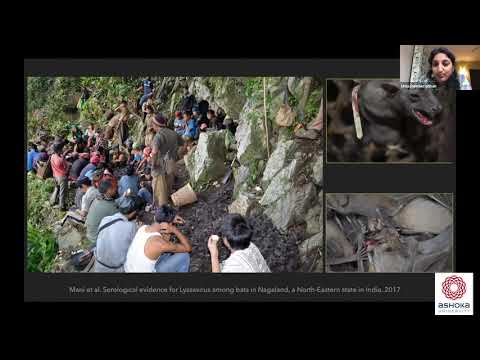 Biodiversity, People and Possible Pathogens | Professor Uma Ramakrishnan