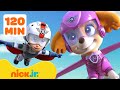 PAW Patrol PAW Patrol Abenteuer In Der Luft Nick Jr Deutschland
