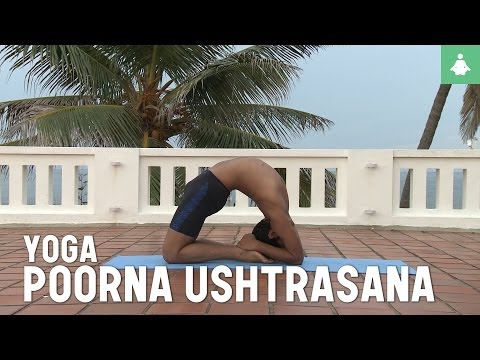 Learn yoga poses: Poorna ushtrasana (camel pose)