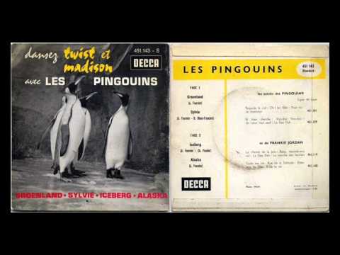 Les Pingouins : Groenland