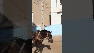 ساكنة دوار عنق الجمل تطالب بالتعويض بعد قرار الإفراغ في حقهم thumbnail