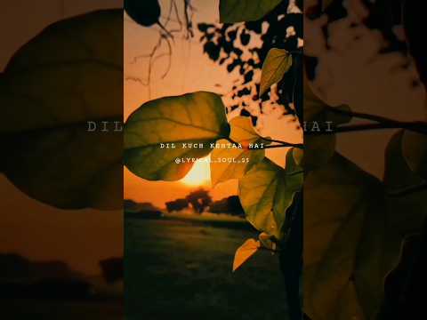 Ladki kyon 💖🦋💖 ||  Aesthetic song status 🍁 || song status || lyrical status ||