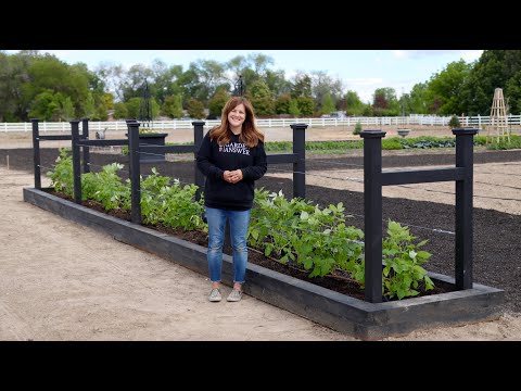 Planting Raspberries in Our New Raised Beds! 🌿 // Garden Answer