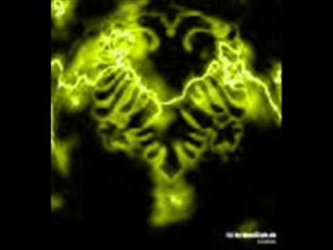 Crazy eagle M`ke lon pershetypje