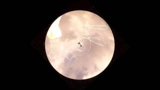 Filaria - Dib Dab Dub