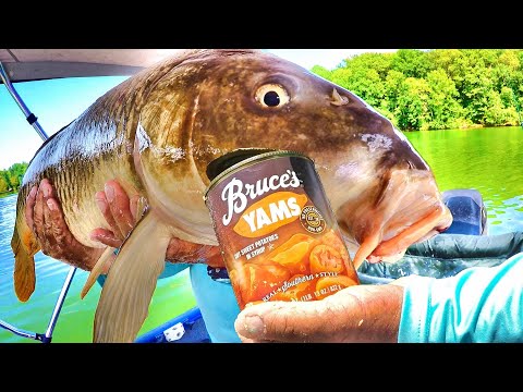 Easy Way To Catch Loads Of Carp! (They Simply Can't Resist This Bait!)