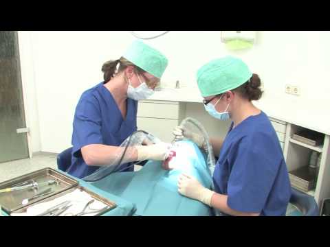 Subluxation des Sprunggelenks Arthrose Herniated thorakale th