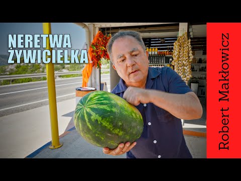 ROBERT MAKŁOWICZ DALMACJA odc.193 „Neretwa żywicielka".