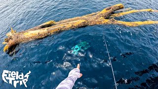 We Found a Tree 10 Miles Offshore LOADED With Fish! (CATCH & COOK)