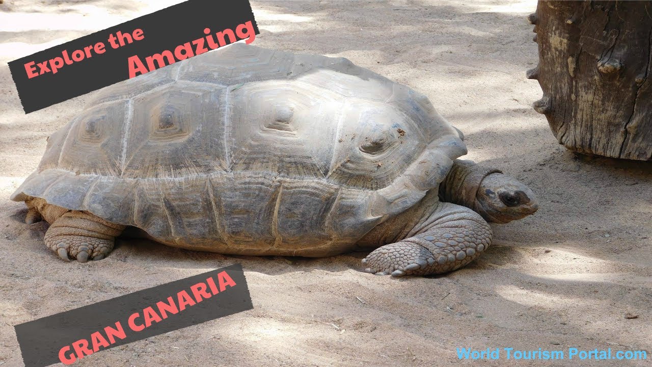 Gran Canaria