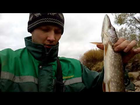 Небольшой улов!!!