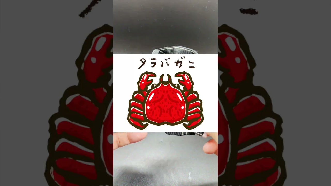 本物につけたら超可愛い！超リアル『JILLbyJILLSTUARTミニフリルトートバッグキーホルダー』ガチャやってみた♪#ミニチュア#マスコット#トートバッグ#ジルスチュアート#ガシャポン#新発売