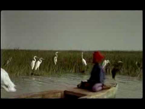 Pelican of Ramzam the Red (clip)