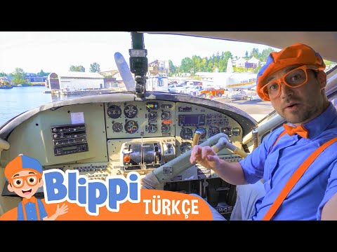 Blippi Deniz Uçağı Keşfediyor | Blippi Türkçe - Çocuklar için eğitici videolar | Türkçe Dublajlı
