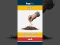 seed (verb) - definition and usage in English