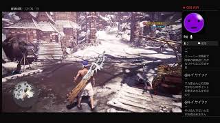 【モンスターハンターワールド アイスボーン】 初見 18