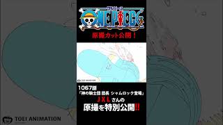 アニメ「#ONEPIECE」見放題配信への追加は木曜日‼️1167話‼️ #onepiece #原撮