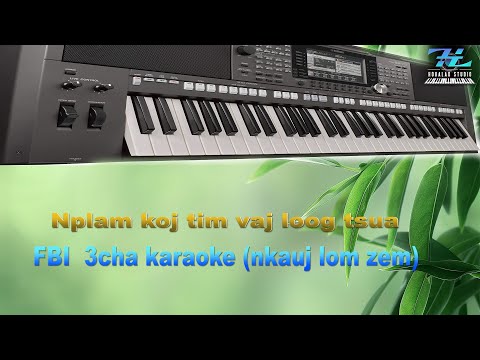 plam koj tim vaj loog tsua - 3cha karaoke (nkauj lom zem)