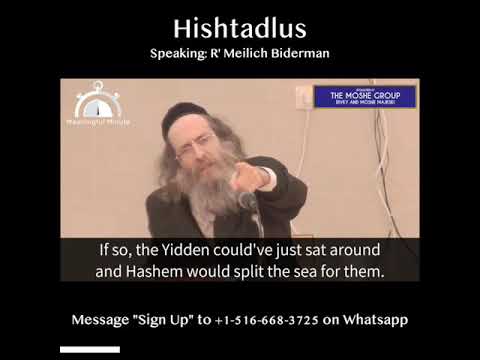Hishtadlus - Rabbi Elimelech Biderman
