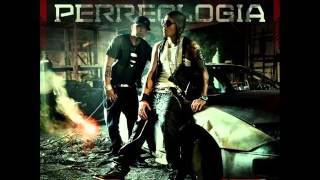 Alexis &amp; Fido - La Intelectual (Perreologia)
