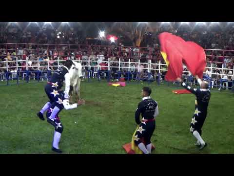 TORIN PRIMERO DE MARZO 2023