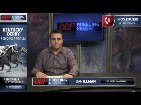 DRF Breeding Report - Kentucky Derby Pedigree Profiles (4-11-17)