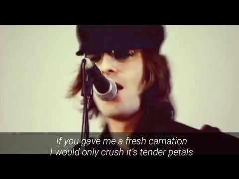 Oasis - Carnation (Lyrics)