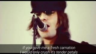 Oasis - Carnation (Lyrics)