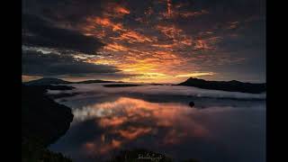 Corrinne May - Fly Away