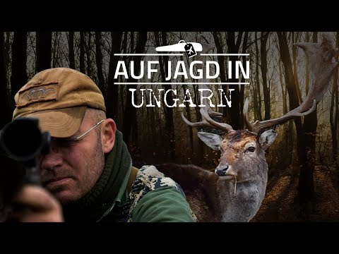 Die Jagd nach den Abnormen Damhirschen | JÄGER mit Chris Balke zur Brunft