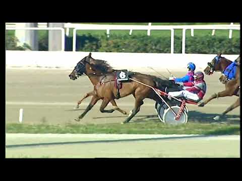 Napoli Trotto 11/02/2022 - 3ª corsa