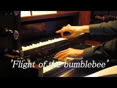 Flight of the bumblebee - Godeharduskerk Marrum - Gert van Hoef