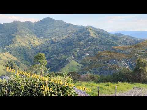 VERGARA CUNDINAMARCA 05 2026