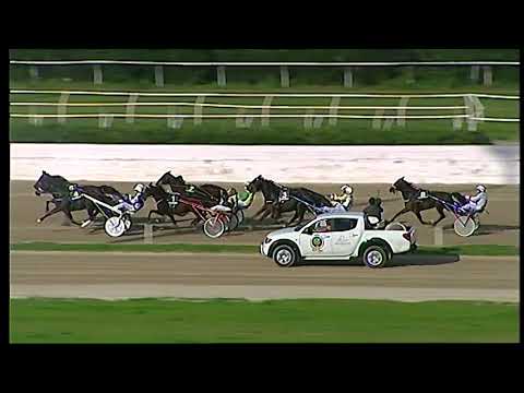 Trotto 28/11/2020 - 1ª corsa