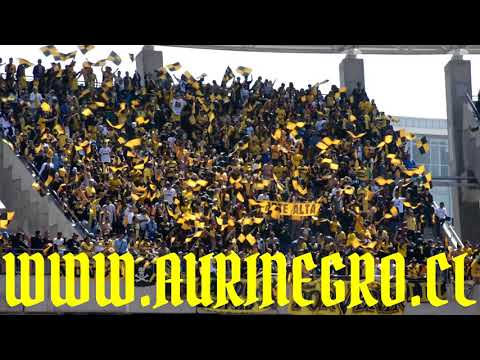 "Hinchada Pirata" Barra: Al Hueso Pirata • Club: Coquimbo Unido