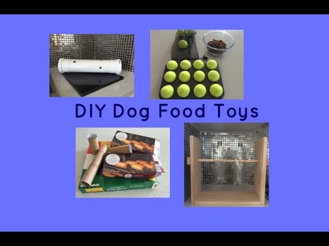 DIY Dog Food Toys - Boredom Busters - Environmental Enrichment - Dog Training