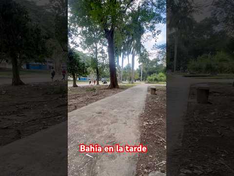 Reparto Bahía habana del este tarde del 30/12/2025 totalmente desolado!!