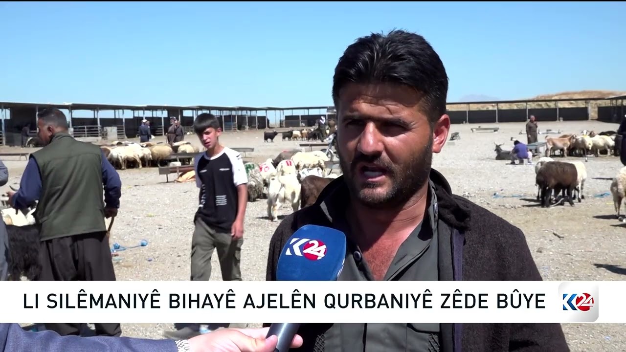 ڤیدیۆ | نرخی ئاژەڵی قوربانیی گران بووە