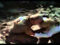 Lenny Dee - Forgotten moments (Ophidian Remix ...