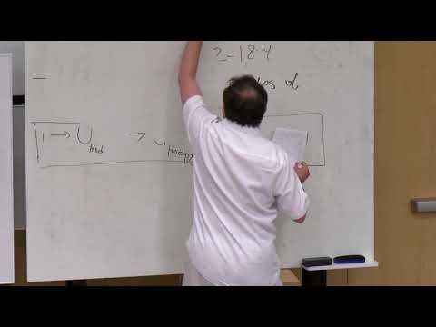 Alexander Goncharov: Quantum Hodge Field Theory