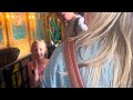 Mr Toad S Wild Ride Disneyland 2025