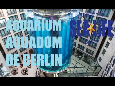 AquaDom & SEA LIFE Berlin