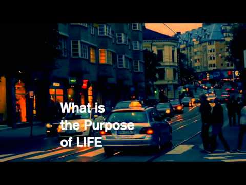 Purpose Series Video Bumper