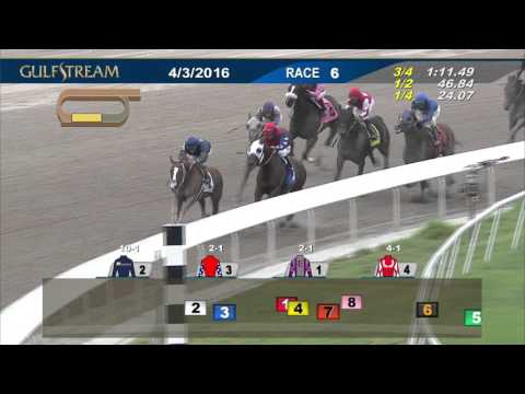 Gulfstream Park Race 6 | April 3, 2016