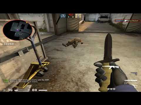 FernDawg CSGO Highlights - #1