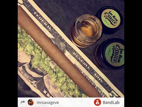 Cannabis Enthusiast | Mr. Savage | Mind . Over . Matter |