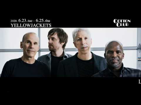 【TRAILER】YELLOWJACKETS: COTTON CLUB JAPAN 2020