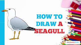 How to Draw a Seagull in a Few Easy Steps: Drawing Tutorial for Beginner Artists